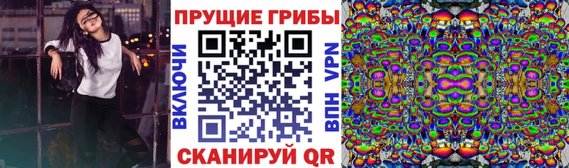 Галлюциногенные грибы Psilocybe купить закладку Красноуральск